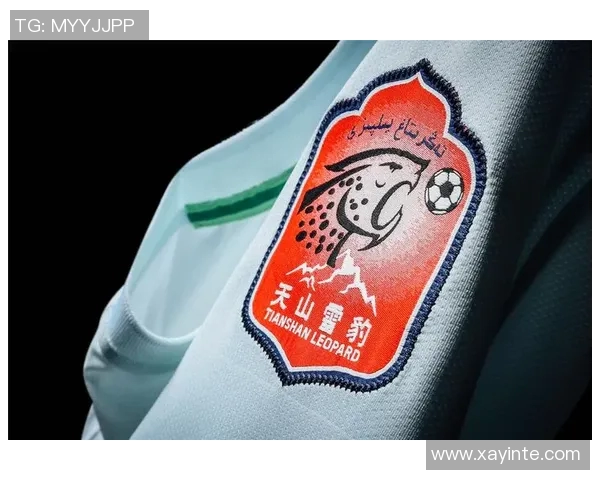 赛季目标再升级 法甲俱乐部定下宏大蓝图