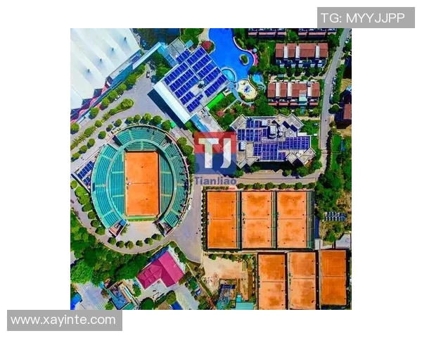 网球运动的魅力与发展趋势：从基础技巧到职业赛事的全方位探析