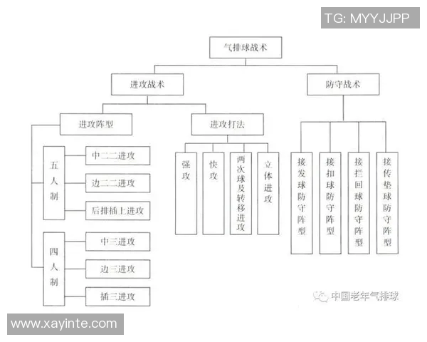 上海排球队中路突破策略分析与战术创新探讨