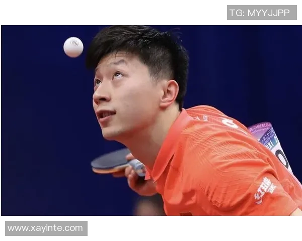 专访乒乓球明星刘磊揭秘他成功背后的训练与心路历程